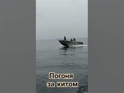 Российские морские наушники: погоня за синим китом