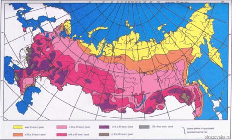 Российский климат и персики