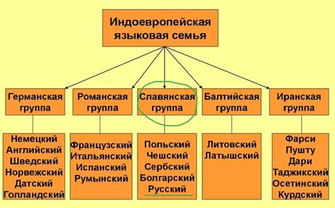 Русский язык: влияние индоевропейской языковой семьи