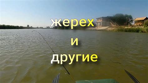 Рыбалка во сне: символ успеха и обретения