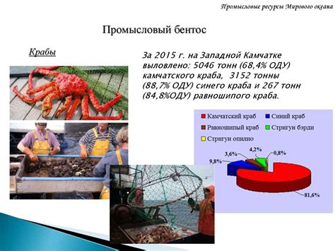 Рыболовство и промысловые ресурсы