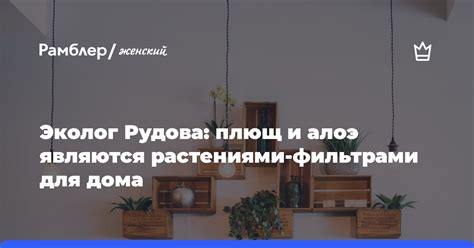 Рыбоядные пернатые являются надежными экологическими фильтрами