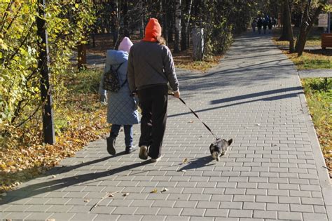 Рядом с Новгородом Великим: лучшие достопримечательности