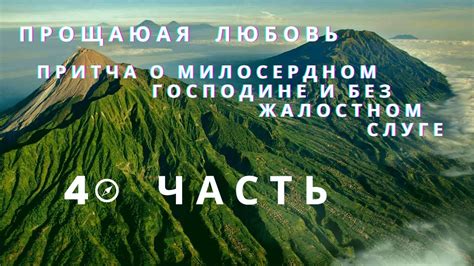 Сакральное значение снов о псе могучем и милосердном