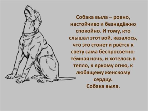 Сакральный аспект: сон, где питомцы гавкают на вас как предзнаменование