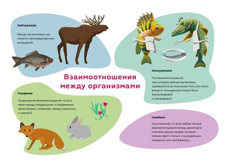 Самодостаточность организмов