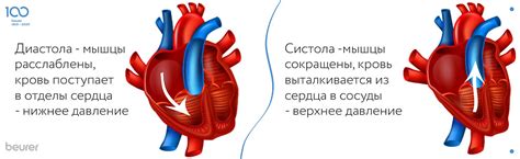 Самые распространенные причины снижения нижнего давления