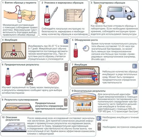 Сам процесс микробиологического исследования