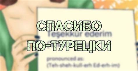 Санада по-турецки: принципы и значение