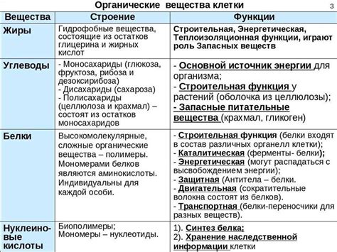 Сахароза: роль в пищеварении и метаболизме