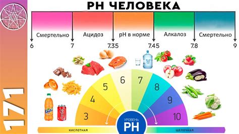 Сбалансированное уровень pH организма и повышение иммунитета