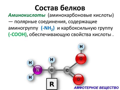 Сбалансированный состав белков