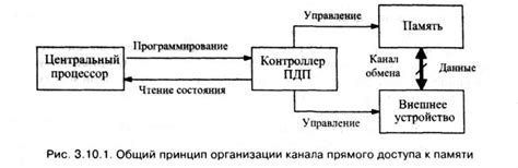 Сборщики мусора и языки с низким уровнем доступа к памяти