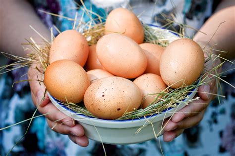 Сбывшийся сон: Анализ символики куриных яиц