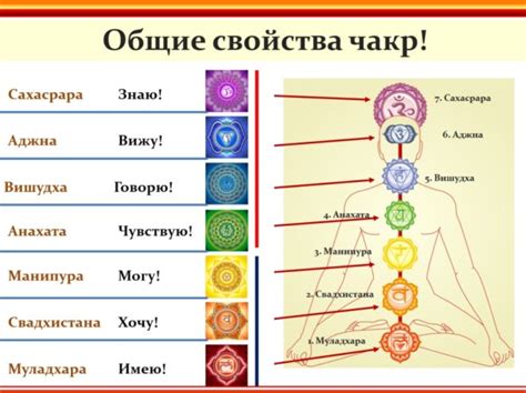 Свежие плоды в видении: символы благополучия и здоровья