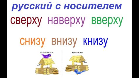 Сверху или снизу: разбираем, что означает этот выбор