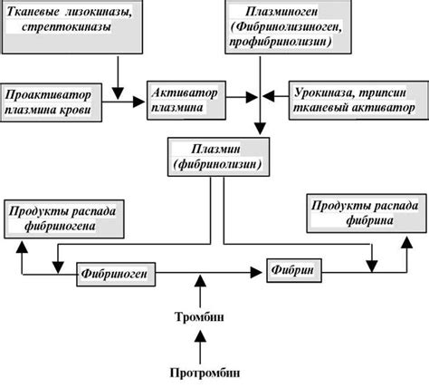 Свойства и состояния фибрина