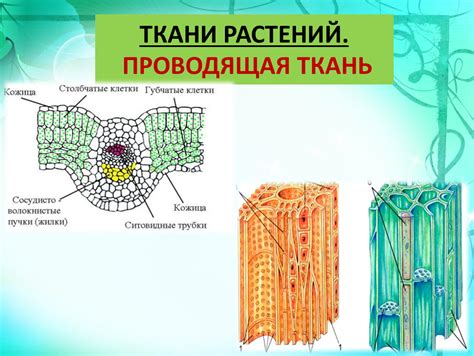 Свойства проводящей ткани: эффективность и надежность