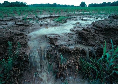 Связанная вода в почве и растениях