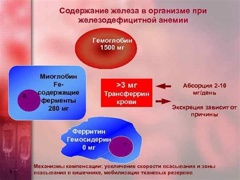 Связь между микроцитозом и железодефицитной анемией