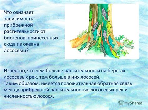 Связь между образом нерасторопной растительности в сне и реальной жизнью