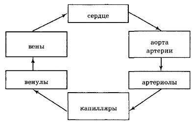 Связь между переживаниями и физическими реакциями организма