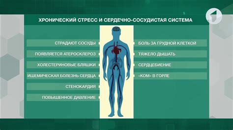 Связь между стрессом и отчаянием