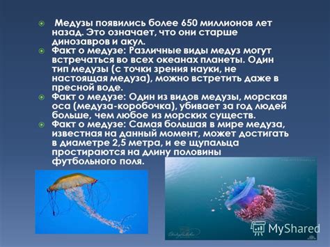 Связь мечтаний о медузе с личным опытом и эмоциональными состояниями