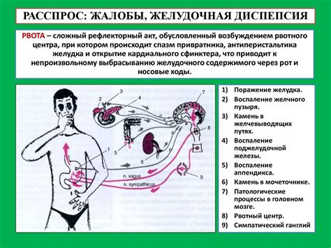 Связь миндального привкуса с заболеваниями органов речи и пищеварения