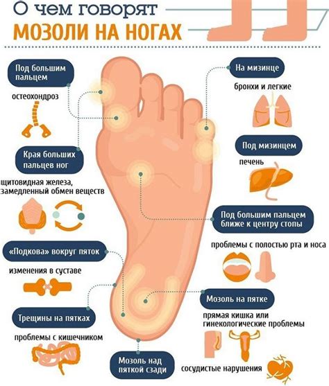 Связь мозолей на ногах в снах с работой и физическим трудом