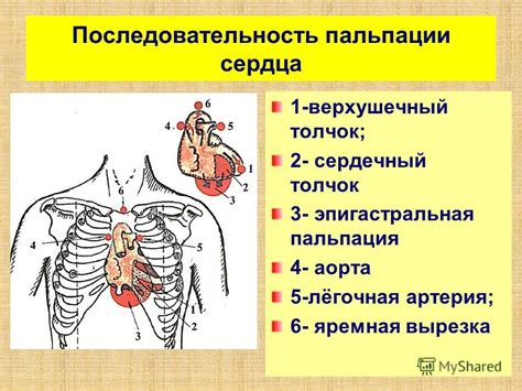 Связь пульсации пореза с проблемами сосудов