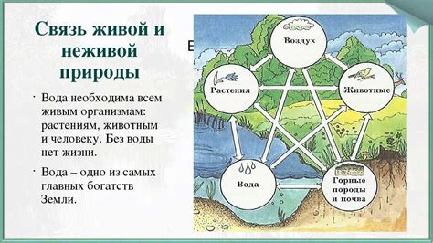 Связь символа с природой