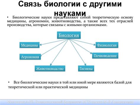 Связь с другими терминами