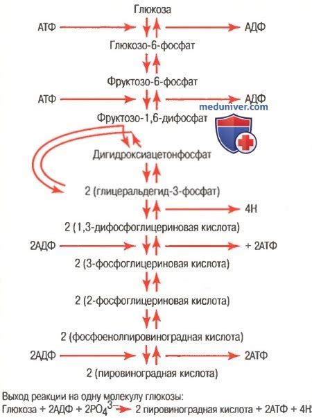 Связь с уровнем глюкозы в крови