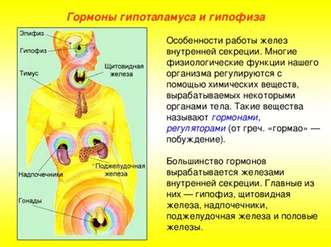 Связь эпигастральной области с другими органами