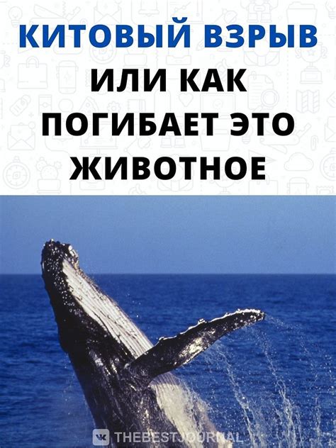 Сделайте паузу и дайте время обоим восстановиться