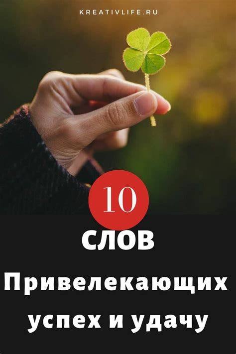 Сегодня грязь, завтра удача: какие сновидения о грязи предвещают удачу и успех