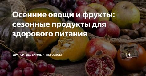 Сезонные фрукты - важная часть здорового питания