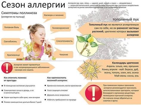 Сезон расцвета и его воздействие на трактовку снов: влияние флоры и природных циклов