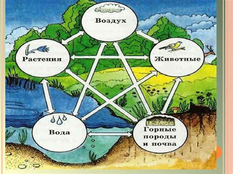 Секретная связь между талисманом и природой