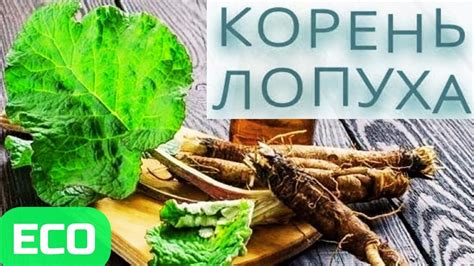 Секретное оружие красоты: как использовать приятные сновидения для поддержания здоровья кожи