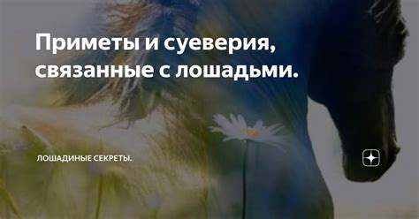 Секреты и суеверия, связанные с кладбищами