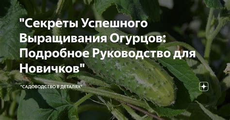 Секреты успешного пояснения шмоток