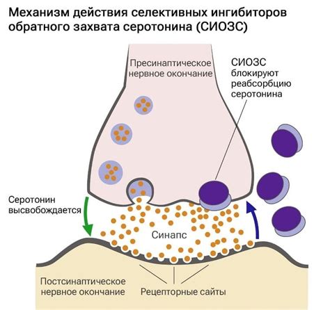 Секундарные изменения: что это и как они работают?