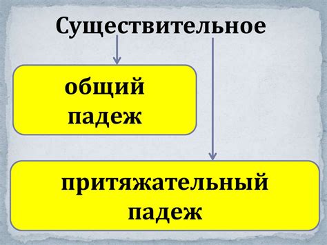 Семантическая роль притяжательного падежа