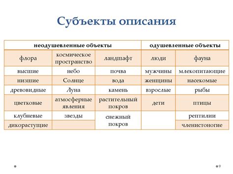 Семантические особенности объектного словосочетания