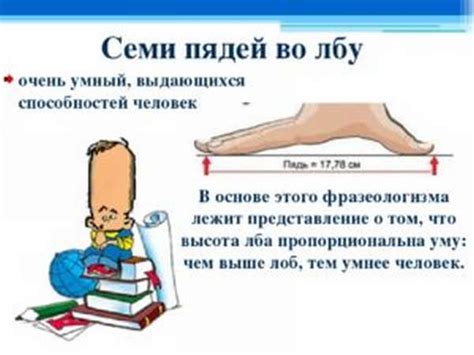 Семи пядей во лбу: что означает это выражение и как его можно интерпретировать?