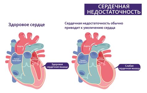 Сердечная моя – что означает это выражение?