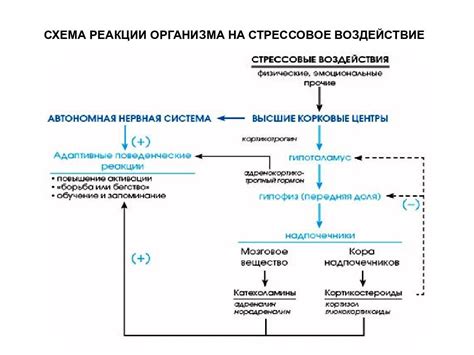 Серьезное стрессовое воздействие