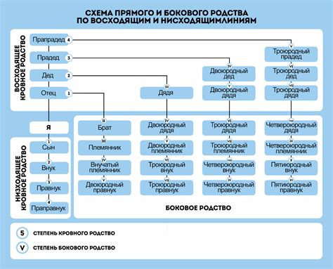 Сестра: роль, связь и взаимоотношения